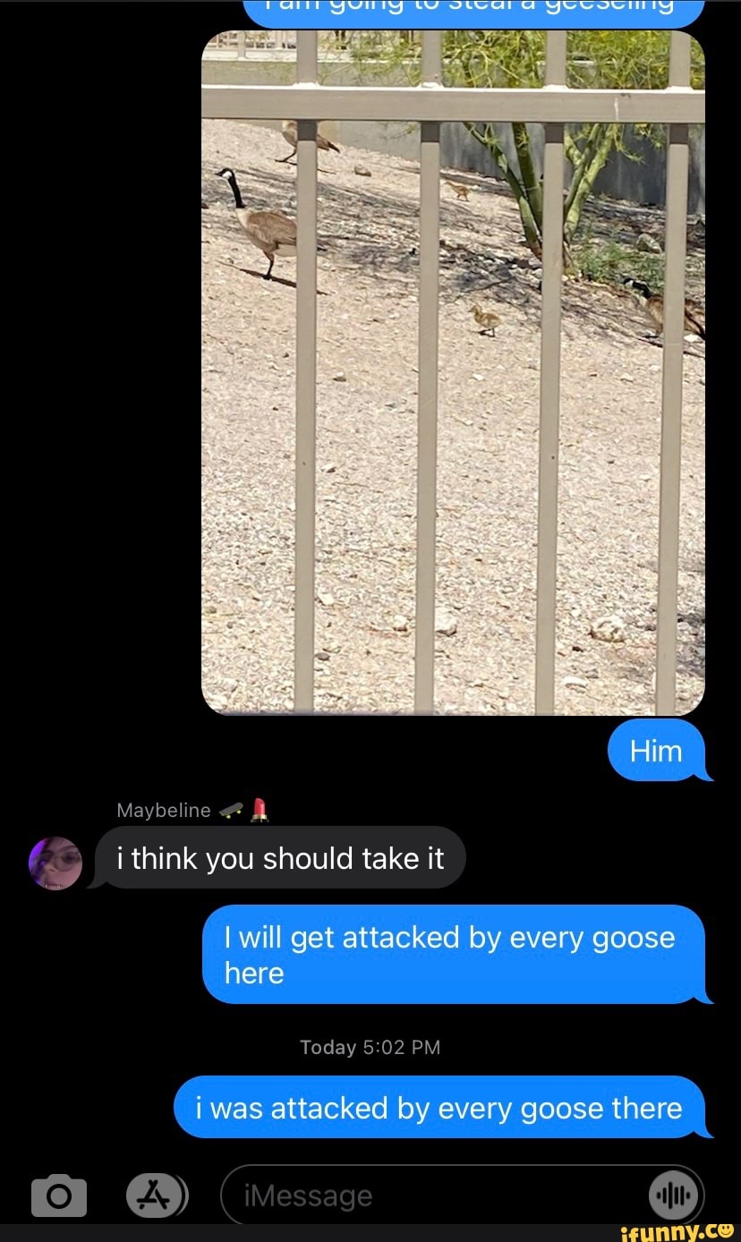 Him
Maybeline
i think you should take it
I will get attacked by every goose here
Today PM
i was attacked by every goose there
Message