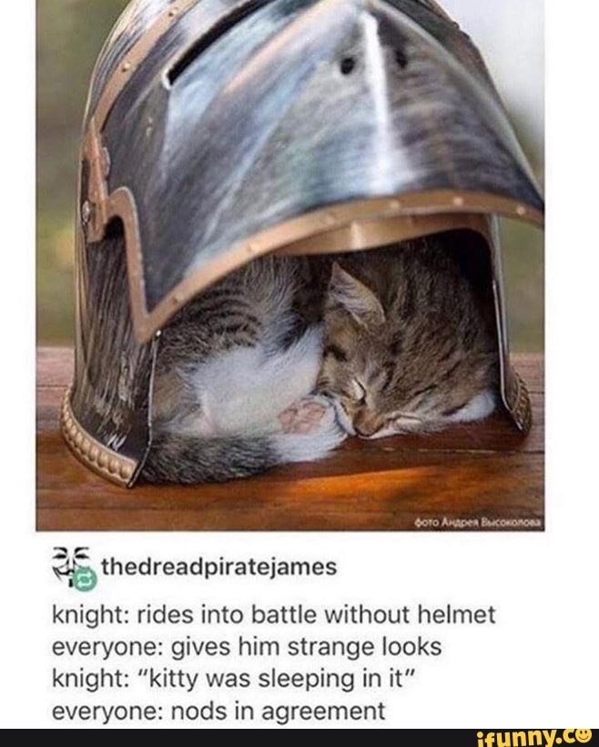thedreadpiratejames
knight: rides into battle without helmet everyone: gives him strange looks knight: "kitty was sleeping in it" everyone: nods in agreement