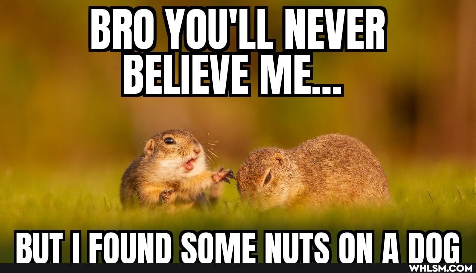 BRO YOU'LL NEVER BELIEVE ME...
DIIT COME HIITC NH