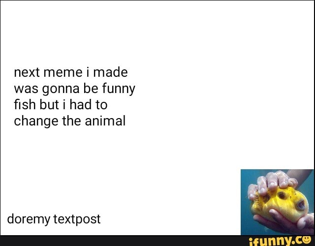 next meme i made
was gonna be funny
fish but i had to
change the animal
