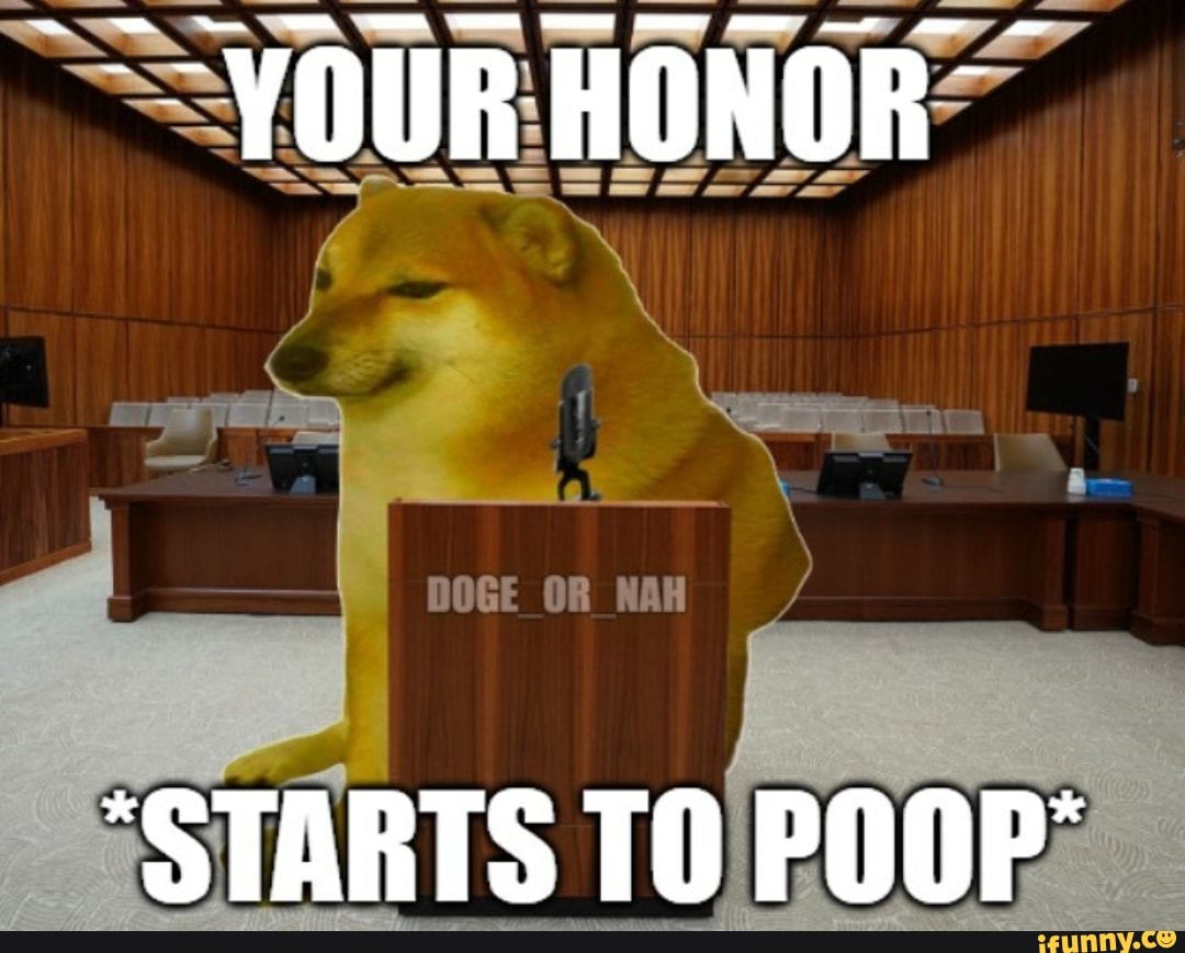 DOGE OR NAH
"STARTS POOP: