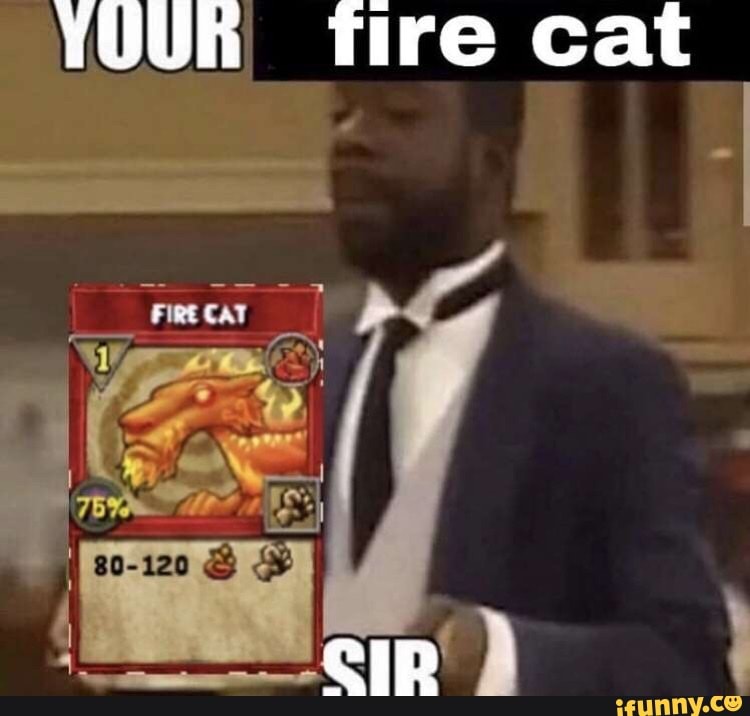 YOUR tire cat