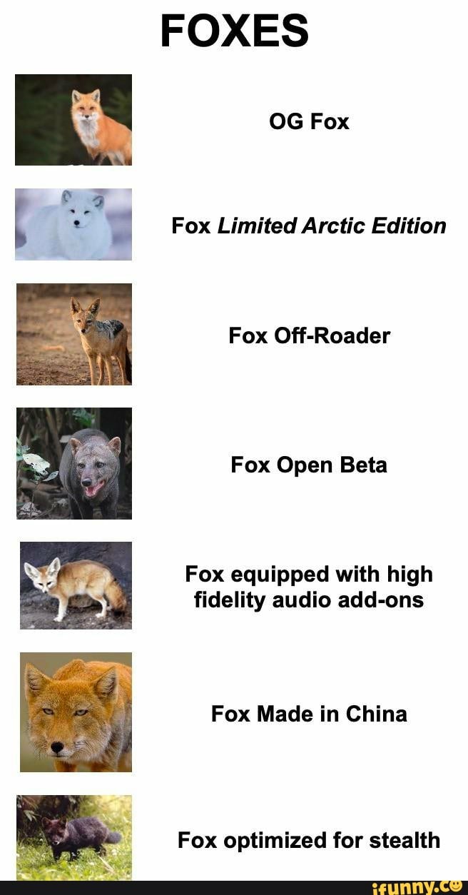 Компания бета лисы показала схему