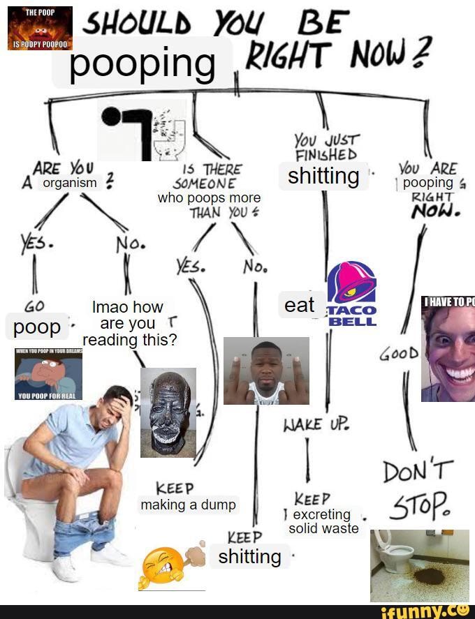 SHOULD You BE pooping ,RIGHT NoW ARE You Is itting ARE A organism SOMEONE shitting pooping who