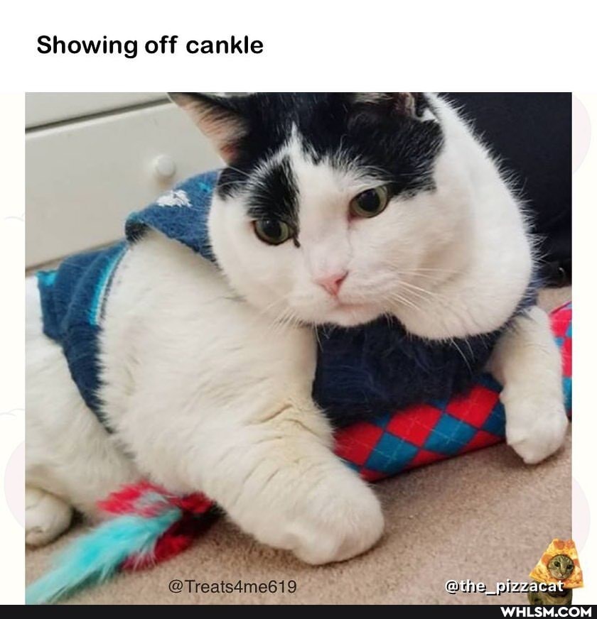 Showing off cankle
@Tranteameekio @the