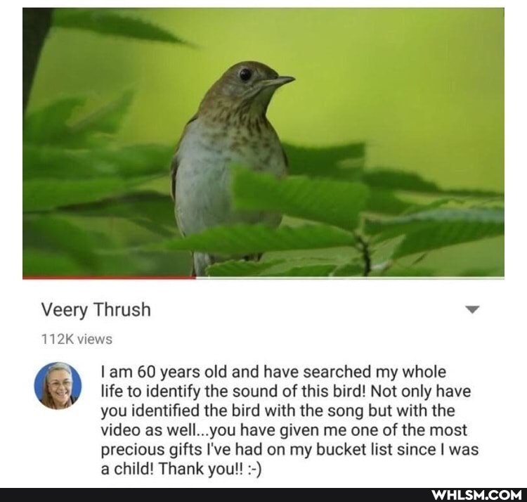Veery Thrush
112K views
am 60 years old and have searched my whole
life to identify the sound of this bird! Not only have
you identified the bird with the song but with the
video as well...you have given me one of the most
precious gifts I've had on my bucket list since I was