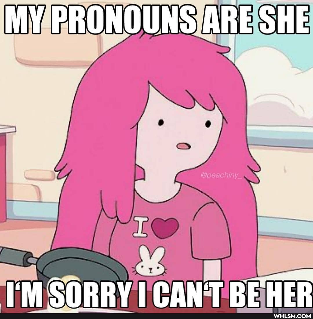 MY PRONOUNS ARE SHE
SORRY CANT BEHER