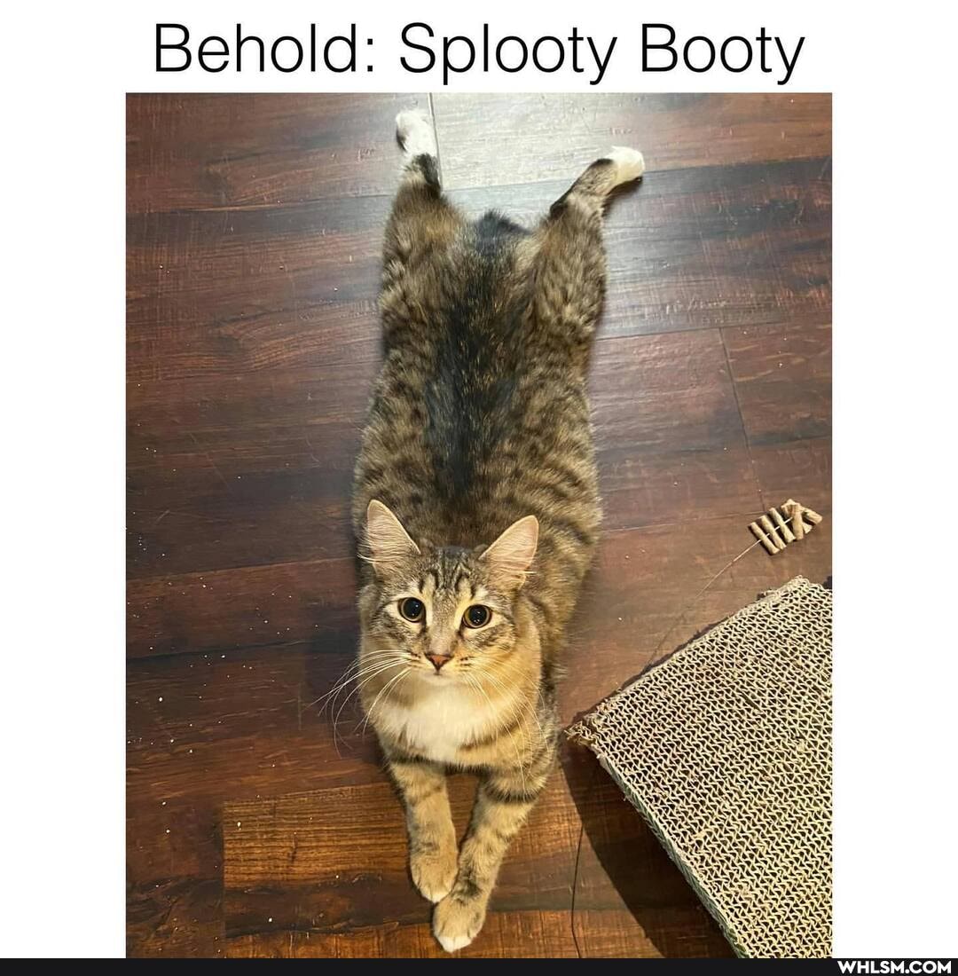 Behold: Sol Boo