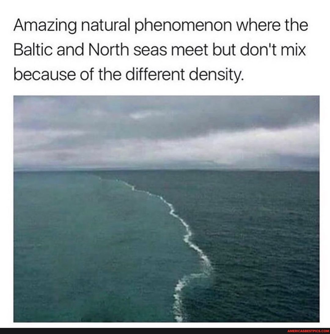 Amazing Natural Phenomenon Where The Baltic And North Seas Meet But Don 