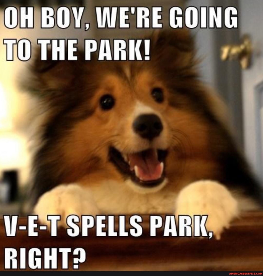 OH BOY, WERE GOING TO THE PARK!
V-E-T SPELLS PARKS RIGHT?