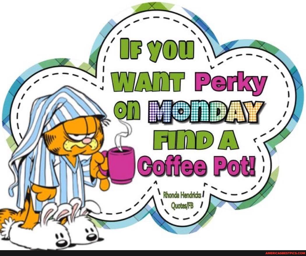 GO
WART Perky
all
ff
FEDA
Coffee Pow
"dead Qut v
\ Wenialiedits! p> -
WAX
at