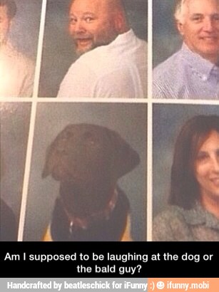 Am I supposed to be laughing at the dog or
the bald guy? - Am I supposed to be laughing at the dog or the bald guy?