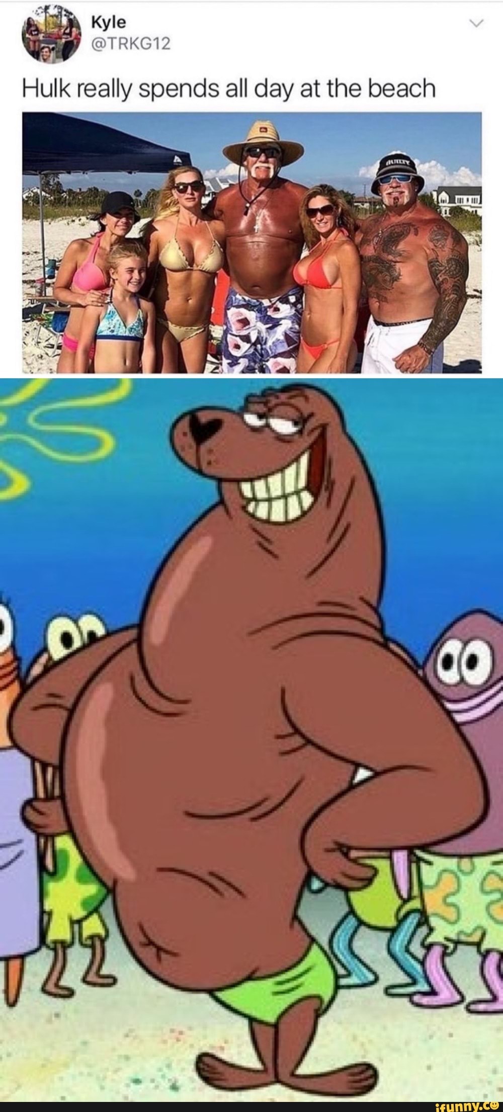 Kyle
Hulk really spends all day at the beach