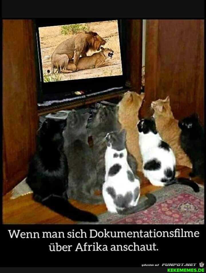 Wenn man sich Dokumentationsfilme über Afrika anschaut.
