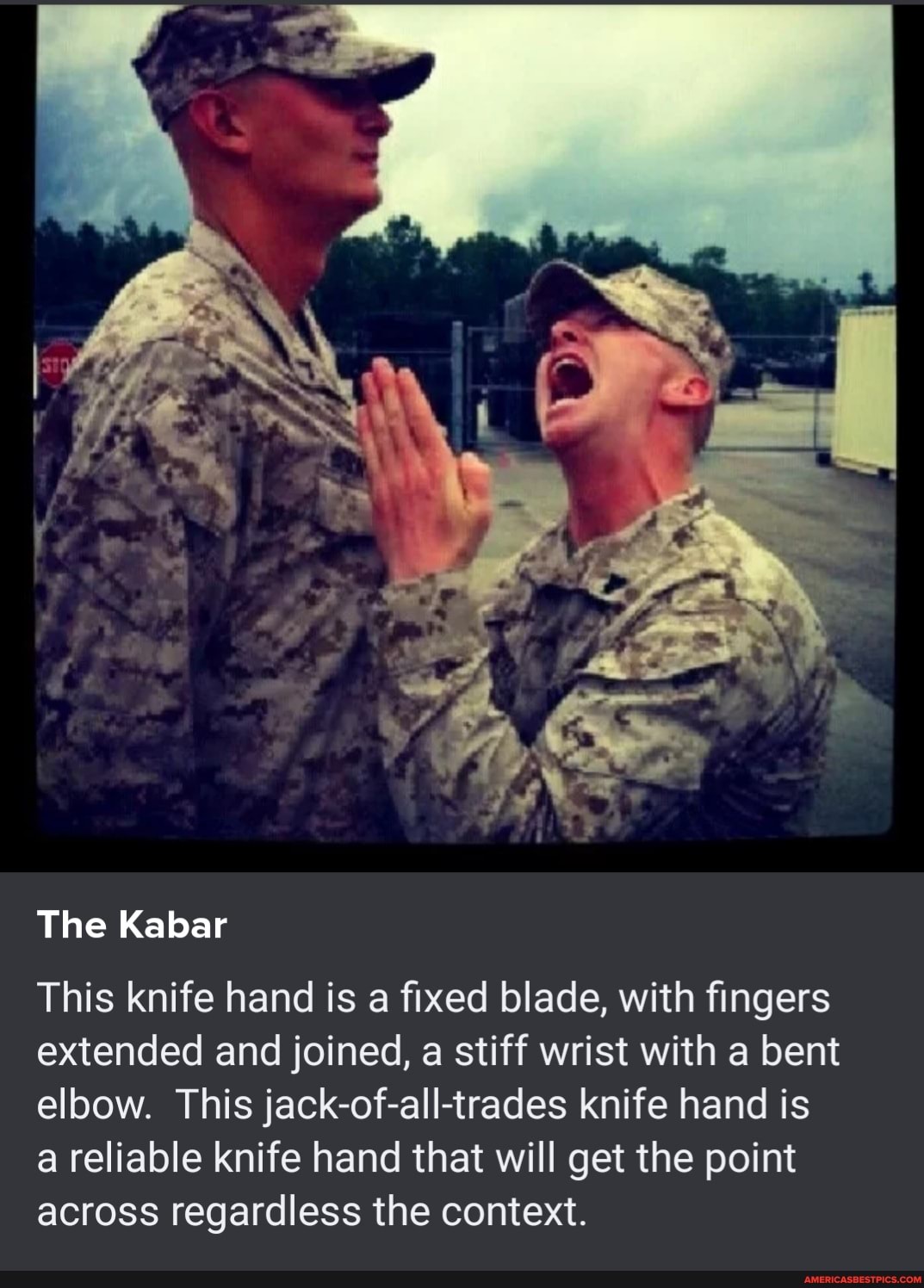 The Kabar
This knife hand is a fixed blade, with fingers extended and joined, a stiff wrist with a bent elbow. This jack-of-all-trades knife hand is a reliable knife hand that will get the point across regardless the context.