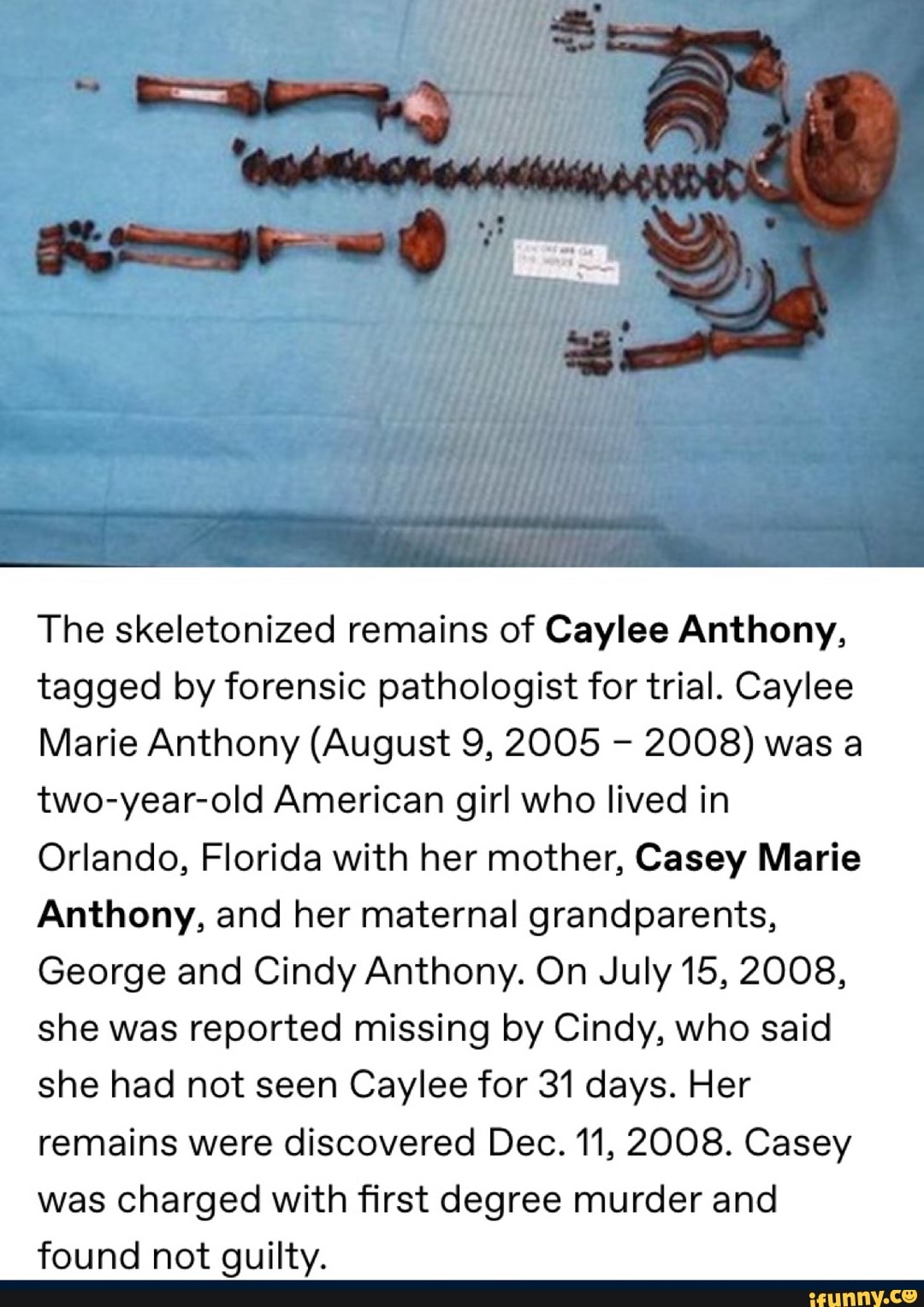 caylee anthony skeleton