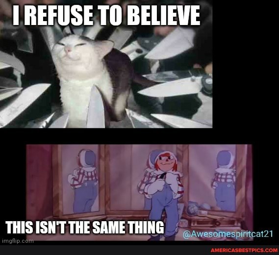 REFUSE TO BELIEVE
as
THIS ISN'T THE SAME THING