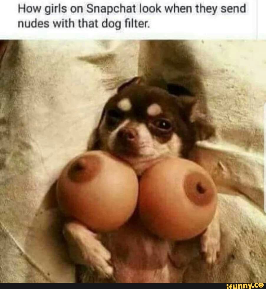 How girls on Snapchat look when they send nudes with that dog ﬁller. -  iFunny