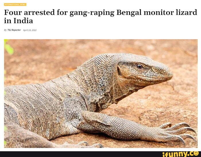 Four arrested for gangraping Bengal monitor lizard in India iFunny