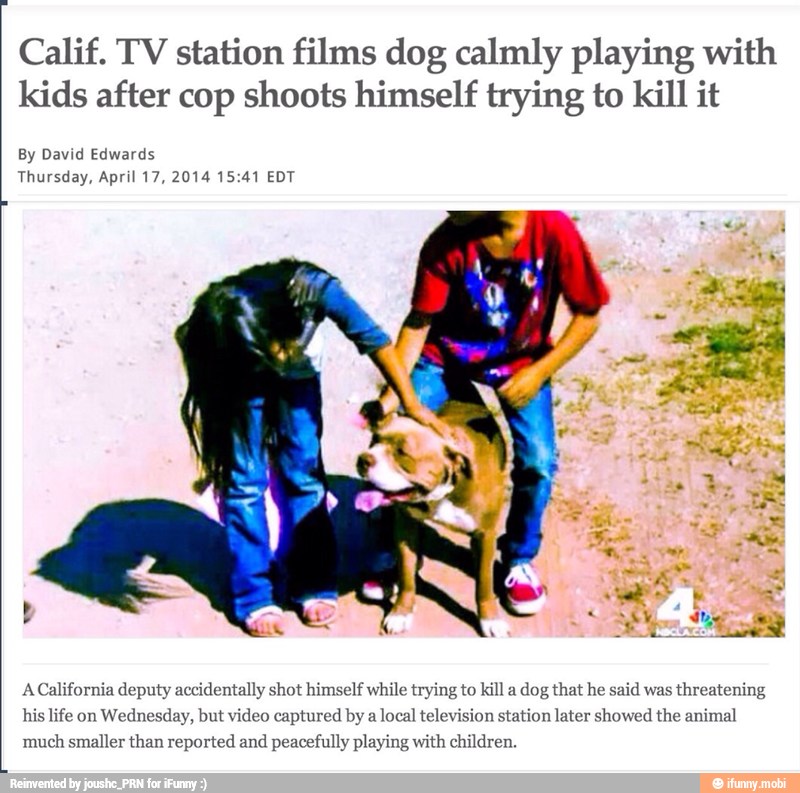 Calif. TV station films dog calmly playing with
kids after cop shoots himself trying to kill it
By David Edwards
Thursday, April 17, 2014 15:41 EDT
ANS
much smaller than reported and
peacefully playing with children.
identally shot himself while trying to kill a
dog that h said was
threatening
e on
Wednesday, but video captured by a
local television station later showed the animal