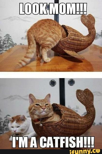 "EMA CATFISHIN