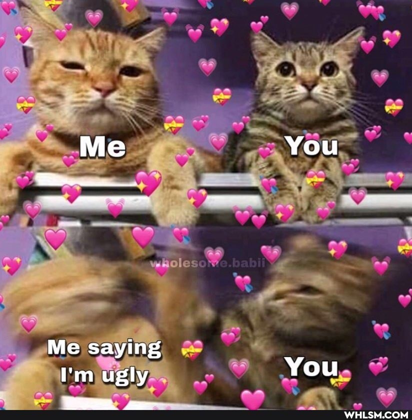 Me You
- _
CA
Me saying
I'm ugly You