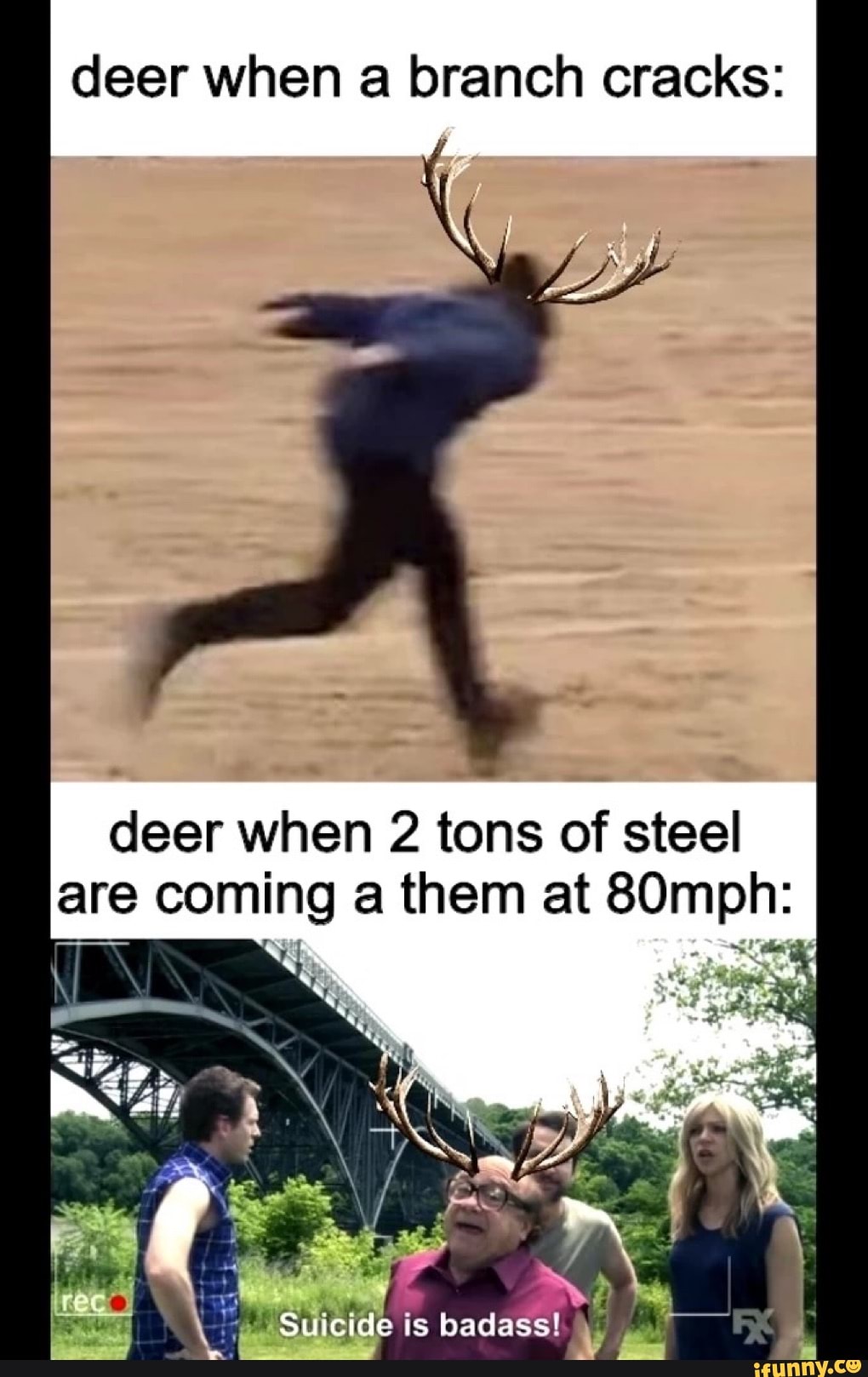 deer when a branch cracks:
deer when 2 tons of steel are coming a them at 80mph:
Suicide is badass!