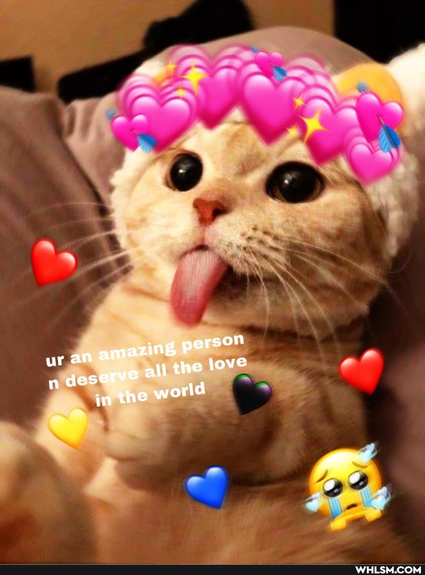 ng person the love orld
ur an amazi deserve al in the W
