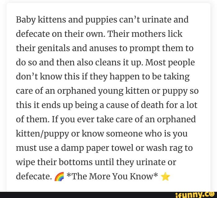 Baby kittens and puppies can't urinate and defecate on their own. Their