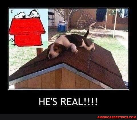HE'S REAL!!!!