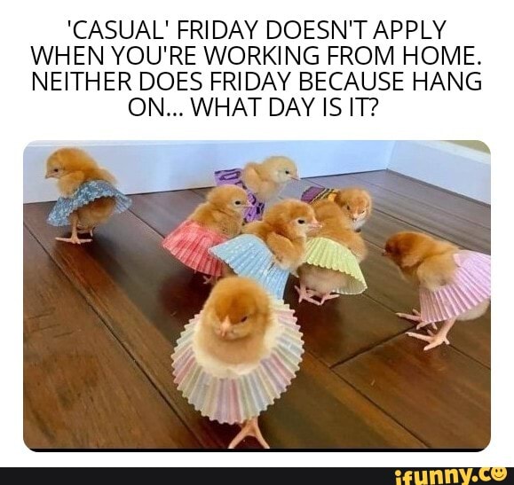 'CASUAL' FRIDAY DOESN'T APPLY
WHEN YOU'RE WORKING FROM HOME.
NEITHER DOES FRIDAY BECAUSE HANG