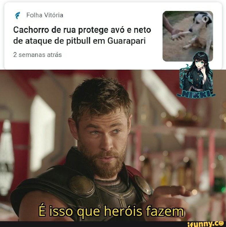 É Folha Vitória
semanas atrás
Cachorro de rua protege avó e neto de ataque de pitbull em Guarapari
É isso que heróis fazem