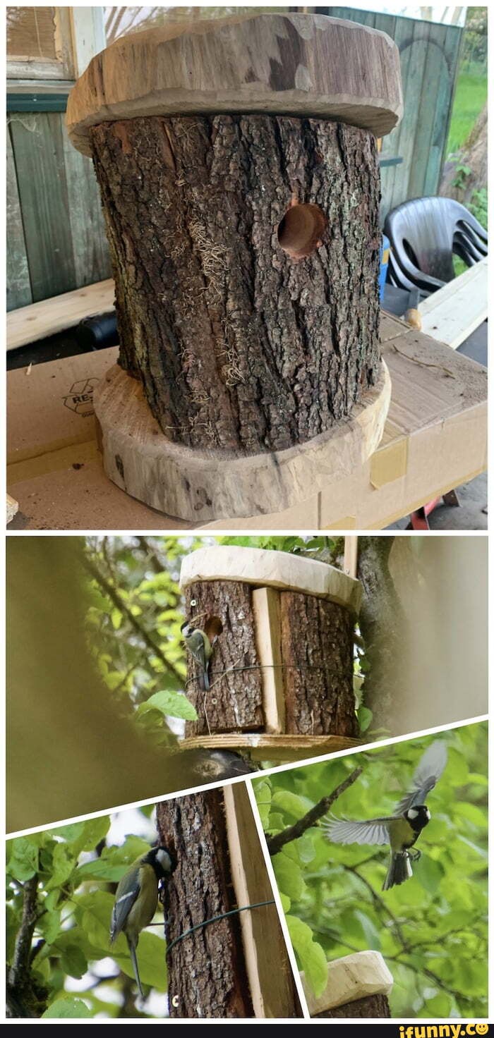 Bird_box memes. Best Collection of funny Bird_box pictures on iFunny