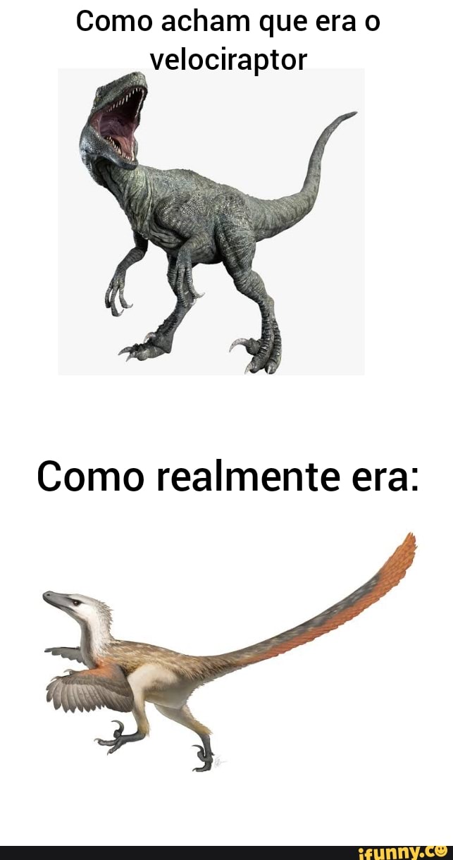 Como Acham Que Era O Velociraptor Como Realmente Era Ifunny Brazil