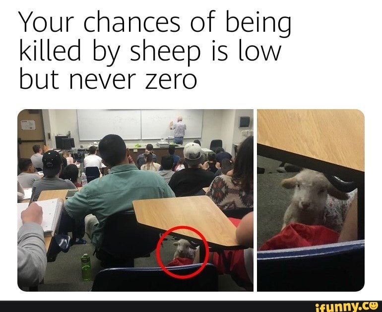Your chances of being
killed by sheep is low
but never zero