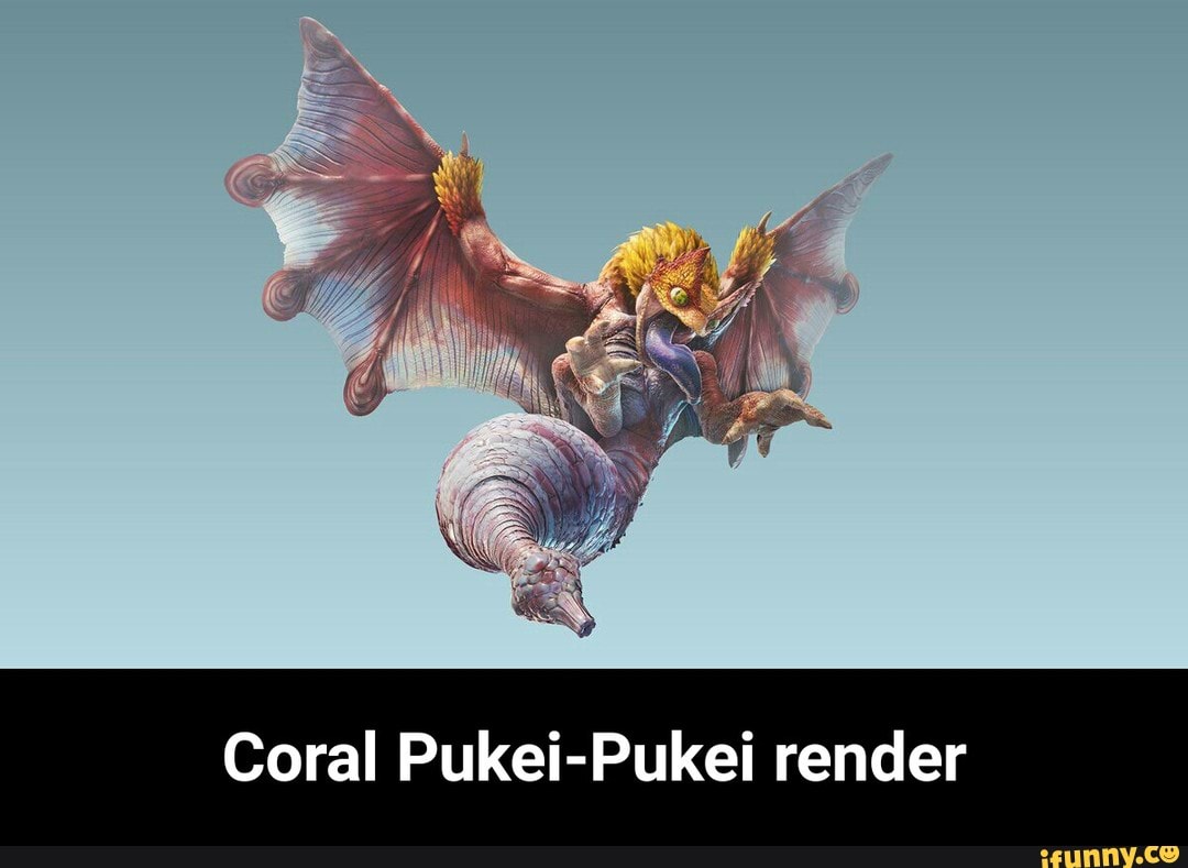 Coral Pukei Pukei Render Coral Pukei Pukei Render IFunny   64ebf2d13fc0abf0a670ea2479a20675164ae983dd8472258cbc86eddd3dc91e 1 