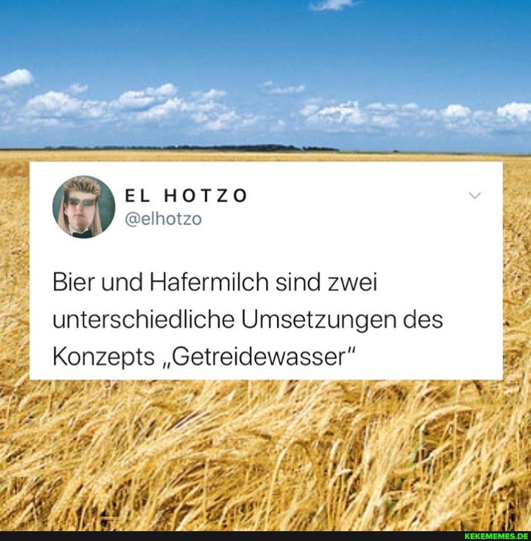 @elhotzo
Bier und Hafermilch sind zwei unterschiedliche Umsetzungen des
Konzepts "Getreidewasser"