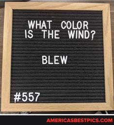 WHAT _COLOR
\S THE WIND?
BLEW
#557