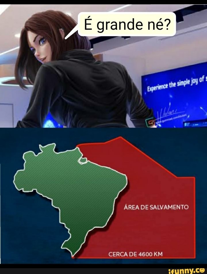 grande nê
/ N
ÁREA DE SALVAMENTO
CERCA DE 4600 KM
