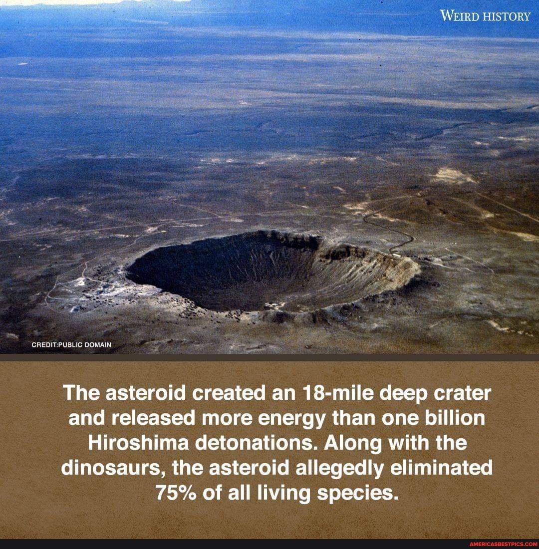 WEIRD HISTORY
DOMAIN -
The asteroid created an 18-mile deep crater and released more energy than one billion
Hiroshima detonations. Along with the dinosaurs, the asteroid allegedly eliminated
75% of all living species.
