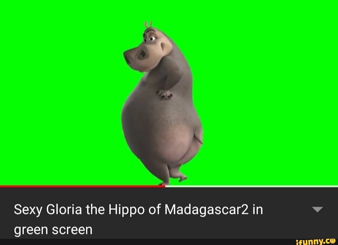 Sexy Gloria The Hippo Of Madagascar2 In Green Screen Ifunny 5732