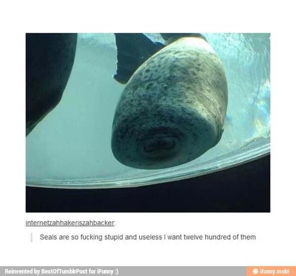 See EMMEN
Seals are so fucking stupid and useless I want twelve hundred of them