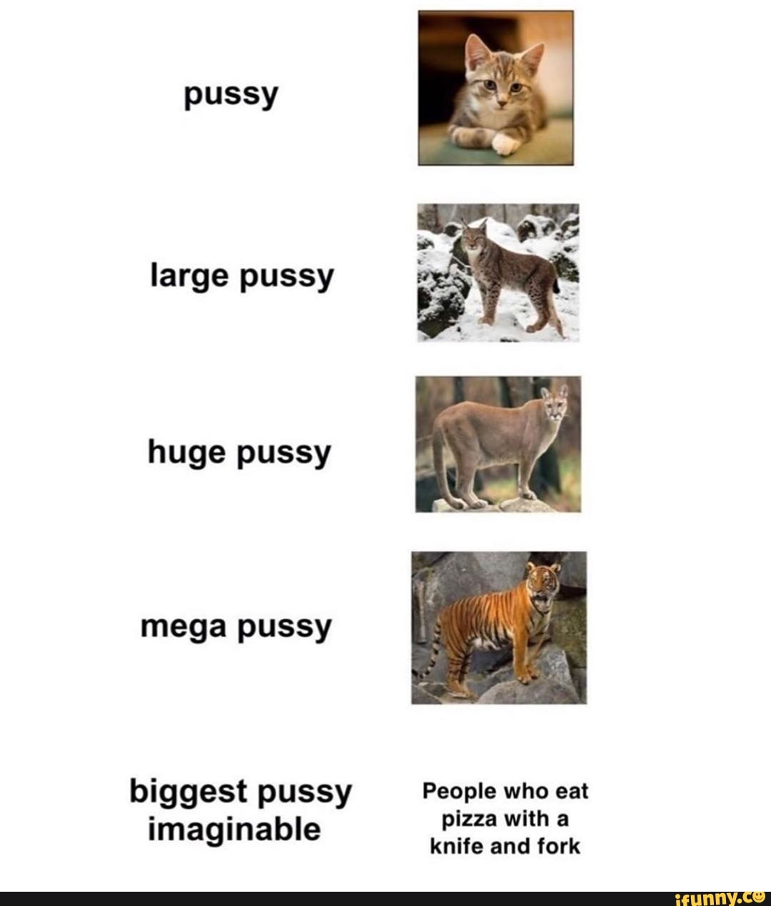 The Worlds Biggest Pussy