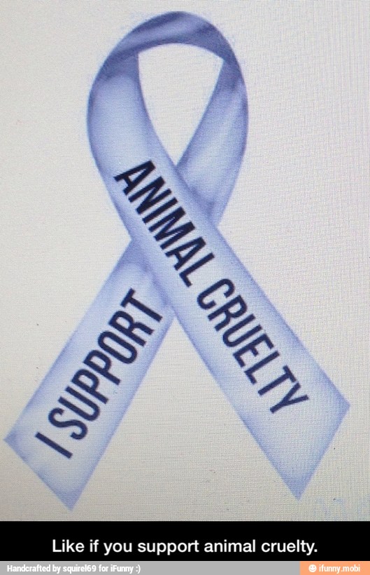 Like if you support animal cruelty.