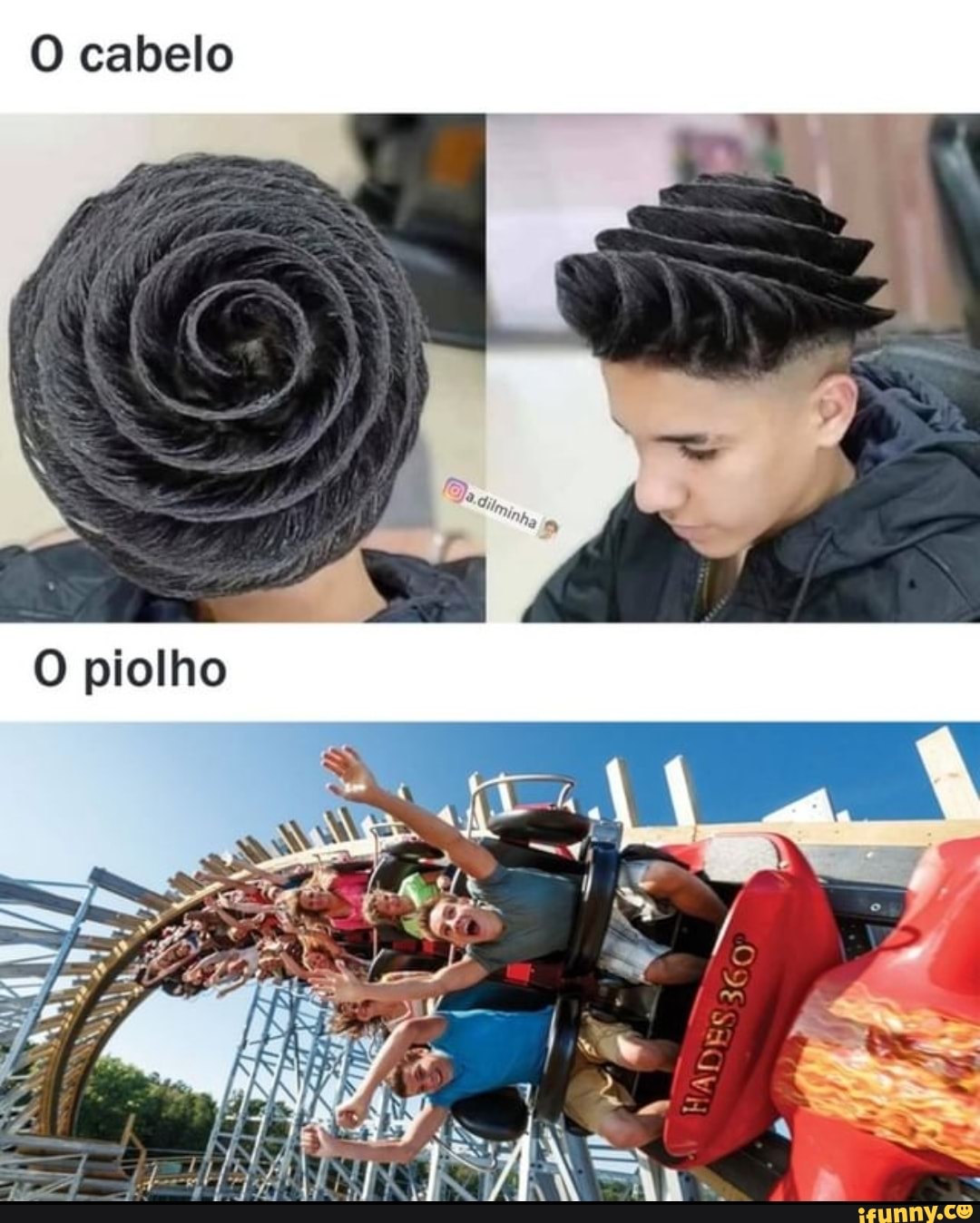 O cabelo
O piolho