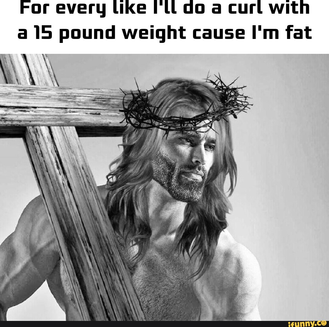 for-every-like-i-ll-do-a-curl-with-a-15-pound-weight-cause-i-m-fat-ifunny