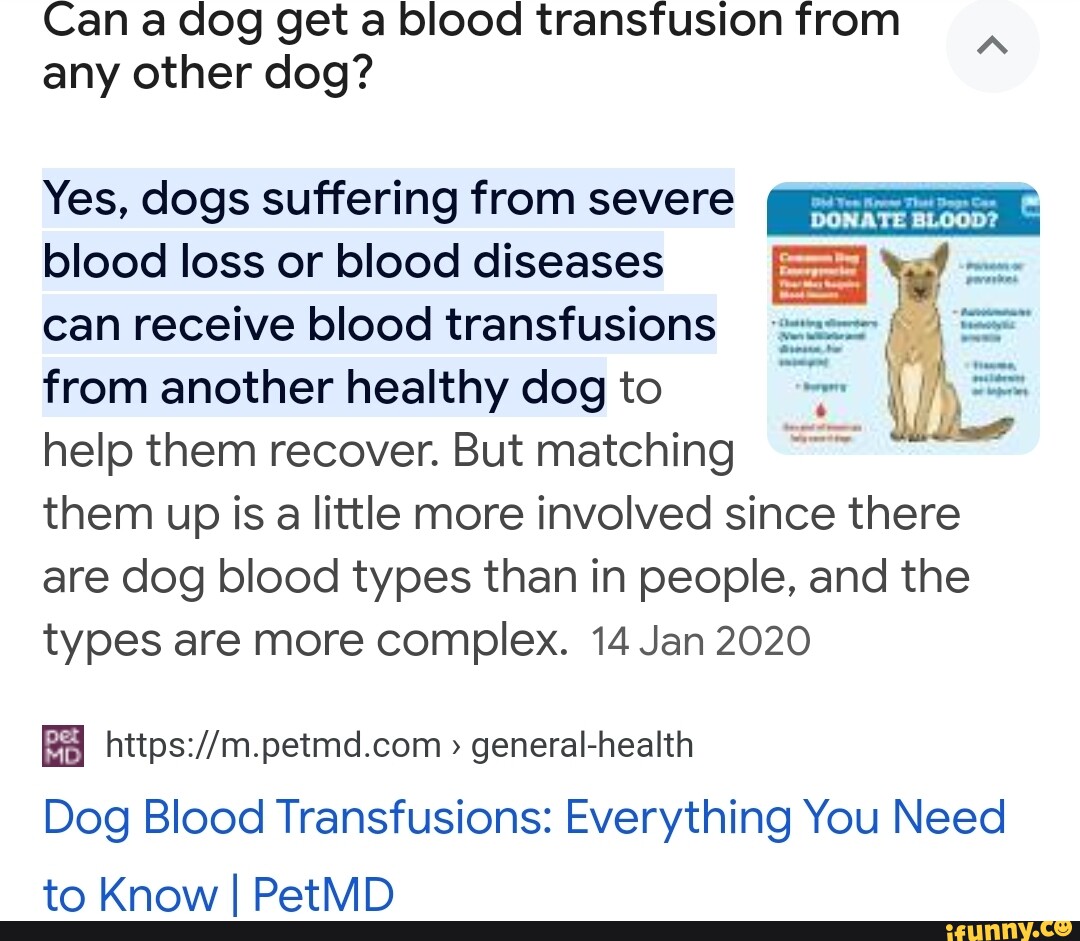 Can a dog get a blood transfusion from any other dog? Yes, dogs