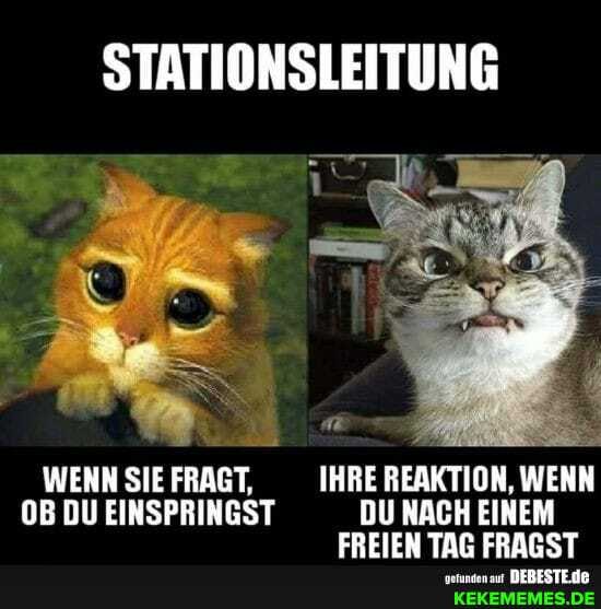 STATIONSLEITUNG
WENN SIE FRAGT, IHRE REAKTION, WENN OB DU EINSPRINGST DU NACH EINEM FREIEN TAG FRAGST