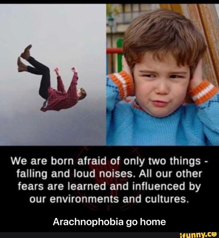 We are born afraid of only two things falling and loud noises. All our other
fears are learned and influenced by
our environments and cultures.
Arachnophobia go home - Arachnophobia go home