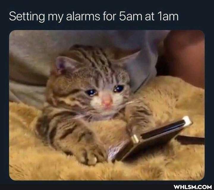Setting my alarms for at lam